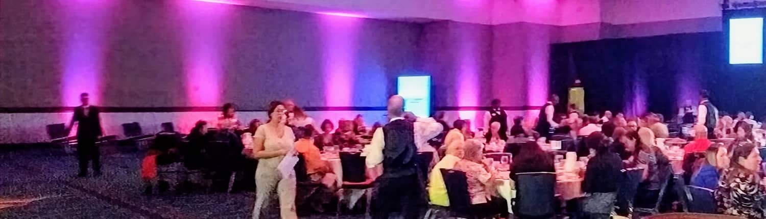 Corporate Event DJ Lighting